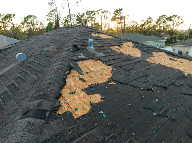 Best Roof Insulation Installation  in Coats, NC